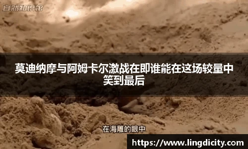 彩神vll首页