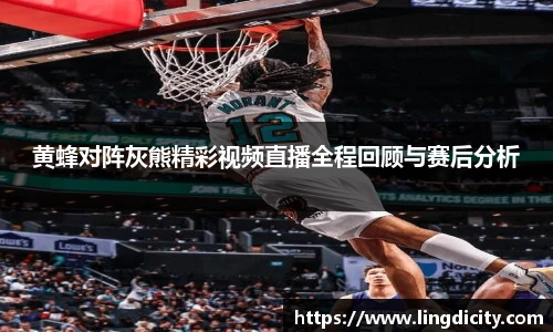 黄蜂对阵灰熊精彩视频直播全程回顾与赛后分析