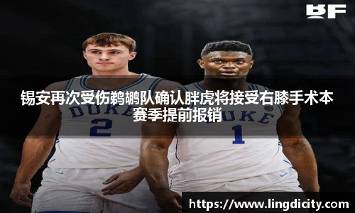 锡安再次受伤鹈鹕队确认胖虎将接受右膝手术本赛季提前报销