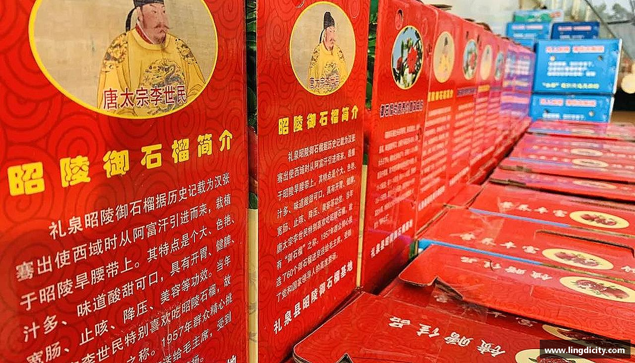 彩神vll首页无惧失败，追逐胜利！
